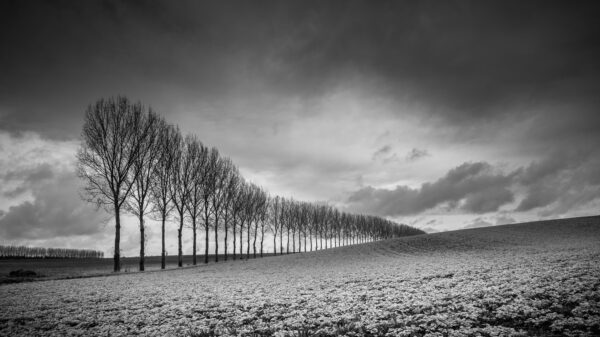 The Somme, France